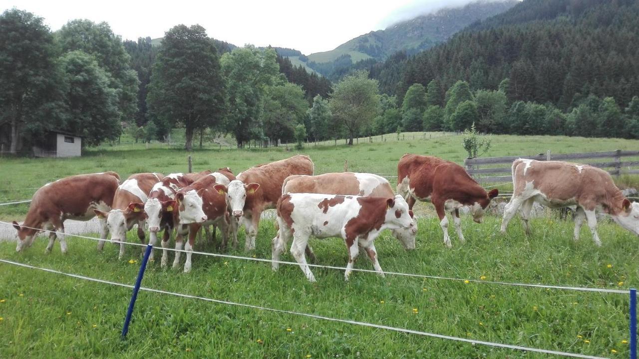 Schiessling Hof Villa Oberndorf in Tirol Luaran gambar