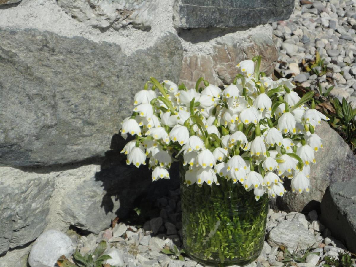 Schiessling Hof Villa Oberndorf in Tirol Luaran gambar